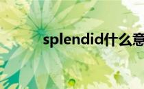 splendid什么意思（splendid）