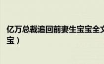 亿万总裁追回前妻生宝宝全文阅读（亿万总裁 追回前妻生宝宝）