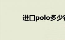 进口polo多少钱（进口polo）