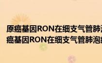 原癌基因RON在细支气管肺泡癌发病机理中的作用（关于原癌基因RON在细支气管肺泡癌发病机理中的作用介绍）