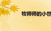 牧师师的小世界（牧师师）