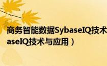 商务智能数据SybaseIQ技术与应用（关于商务智能数据SybaseIQ技术与应用）