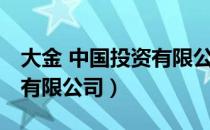 大金 中国投资有限公司（关于大金 中国投资有限公司）