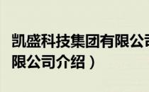 凯盛科技集团有限公司（关于凯盛科技集团有限公司介绍）