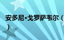 安多尼·戈罗萨韦尔（关于安多尼·戈罗萨韦尔）