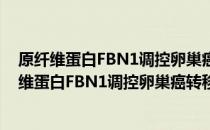 原纤维蛋白FBN1调控卵巢癌转移侵袭机理研究（关于原纤维蛋白FBN1调控卵巢癌转移侵袭机理研究介绍）