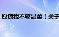 原谅我不够温柔（关于原谅我不够温柔介绍）