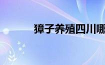 獐子养殖四川哪有（獐子养殖）