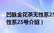 凹脉金花茶无性系25号（关于凹脉金花茶无性系25号介绍）