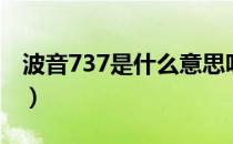 波音737是什么意思呀（波音737是什么意思）