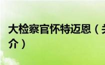 大检察官怀特迈恩（关于大检察官怀特迈恩简介）