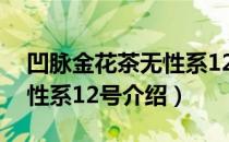 凹脉金花茶无性系12号（关于凹脉金花茶无性系12号介绍）