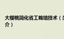 大樱桃简化省工栽培技术（关于大樱桃简化省工栽培技术简介）