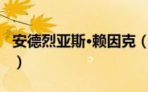 安德烈亚斯·赖因克（关于安德烈亚斯·赖因克）