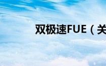 双极速FUE（关于双极速FUE）