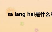 sa lang hai是什么意思（sa lang hai）