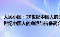 大民小国：20世纪中国人的命运与抗争（关于大民小国：20世纪中国人的命运与抗争简介）