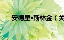 安德里·斯林金（关于安德里·斯林金）