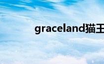 graceland猫王（graceland）