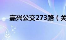 嘉兴公交273路（关于嘉兴公交273路）