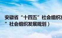 安徽省“十四五”社会组织发展规划（关于安徽省“十四五”社会组织发展规划）