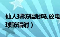 仙人球防辐射吗,放电脑的什么位置好?（仙人球防辐射）