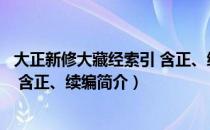 大正新修大藏经索引 含正、续编（关于大正新修大藏经索引 含正、续编简介）