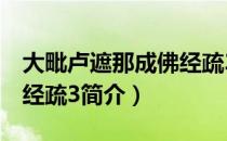 大毗卢遮那成佛经疏3（关于大毗卢遮那成佛经疏3简介）