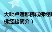 大毗卢遮那佛成佛经疏（关于大毗卢遮那佛成佛经疏简介）