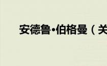 安德鲁·伯格曼（关于安德鲁·伯格曼）