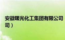 安徽曙光化工集团有限公司（关于安徽曙光化工集团有限公司）