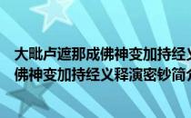 大毗卢遮那成佛神变加持经义释演密钞（关于大毗卢遮那成佛神变加持经义释演密钞简介）