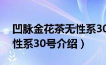 凹脉金花茶无性系30号（关于凹脉金花茶无性系30号介绍）