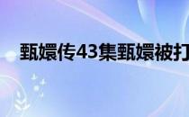 甄嬛传43集甄嬛被打了吗（甄嬛传43集）