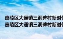 嘉陵区大通镇三洞碑村新时代文明实践志愿服务分队（关于嘉陵区大通镇三洞碑村新时代文明实践志愿服务分队）