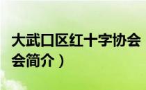 大武口区红十字协会（关于大武口区红十字协会简介）