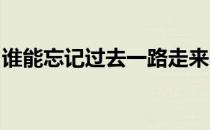 谁能忘记过去一路走来陪你受的伤是什么意思