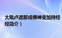 大毗卢遮那成佛神变加持经（关于大毗卢遮那成佛神变加持经简介）