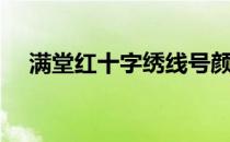 满堂红十字绣线号颜色（满堂红十字绣）