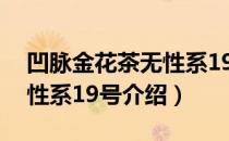 凹脉金花茶无性系19号（关于凹脉金花茶无性系19号介绍）