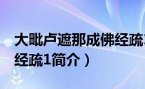 大毗卢遮那成佛经疏1（关于大毗卢遮那成佛经疏1简介）