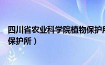 四川省农业科学院植物保护所（关于四川省农业科学院植物保护所）