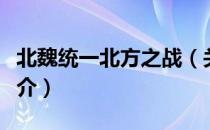 北魏统一北方之战（关于北魏统一北方之战简介）