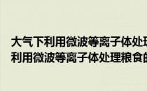 大气下利用微波等离子体处理粮食的实验研究（关于大气下利用微波等离子体处理粮食的实验研究简介）