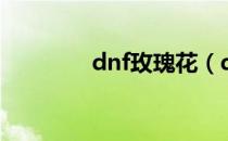 dnf玫瑰花（dnf璀璨玫瑰）