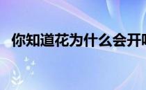 你知道花为什么会开吗（花儿为什么会开）