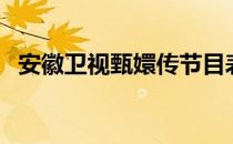 安徽卫视甄嬛传节目表（安徽卫视甄嬛传）