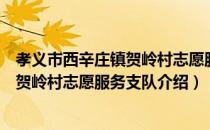 孝义市西辛庄镇贺岭村志愿服务支队（关于孝义市西辛庄镇贺岭村志愿服务支队介绍）