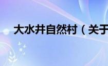 大水井自然村（关于大水井自然村简介）