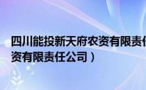 四川能投新天府农资有限责任公司（关于四川能投新天府农资有限责任公司）